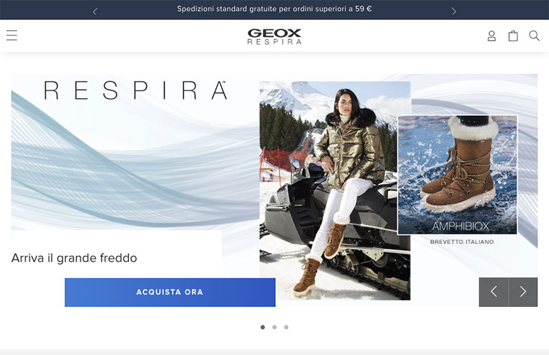home page big company