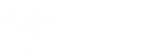 logo_politecnico_marche