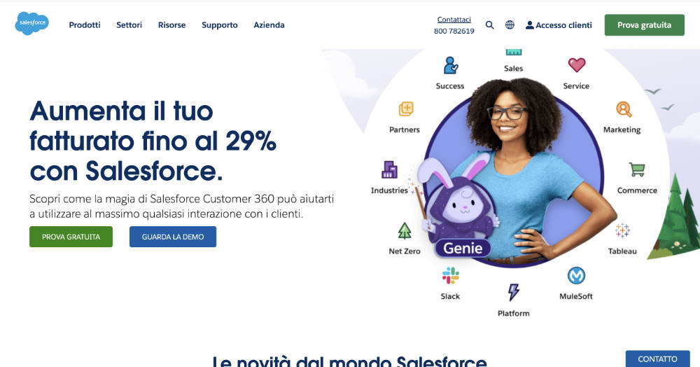 sito_salesforce