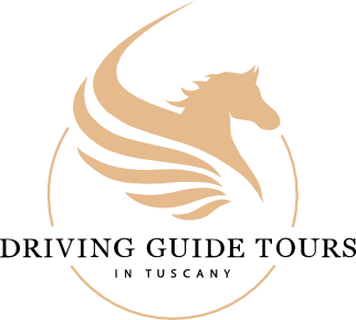 logo_tours