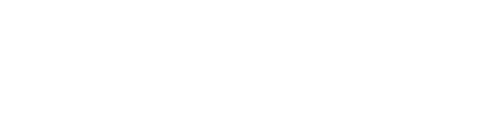 ainem - ASSOCIAZIONE ITALIANA DI NEUROMARKETING