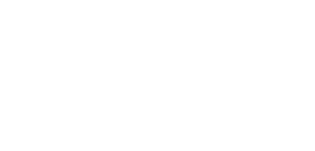 nami data intelligence